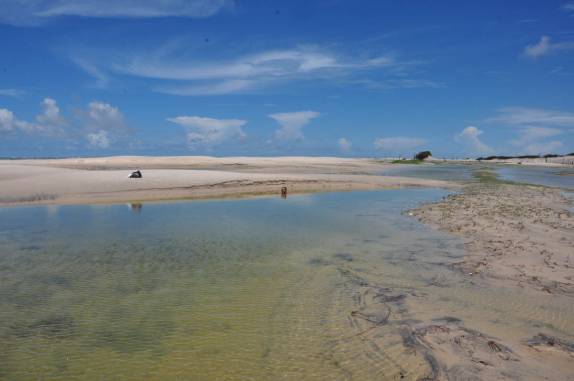 Refrescando-se em lagoa da praia do Farol,nas Reentrâncias Maranhenses - MA